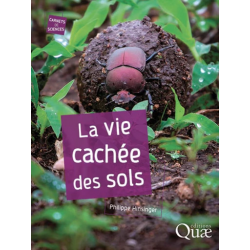 La vie cachée des sols
