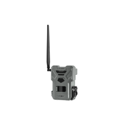 Piège photographique...