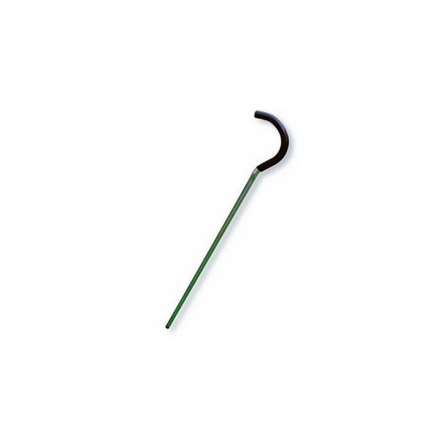 Canne sonde