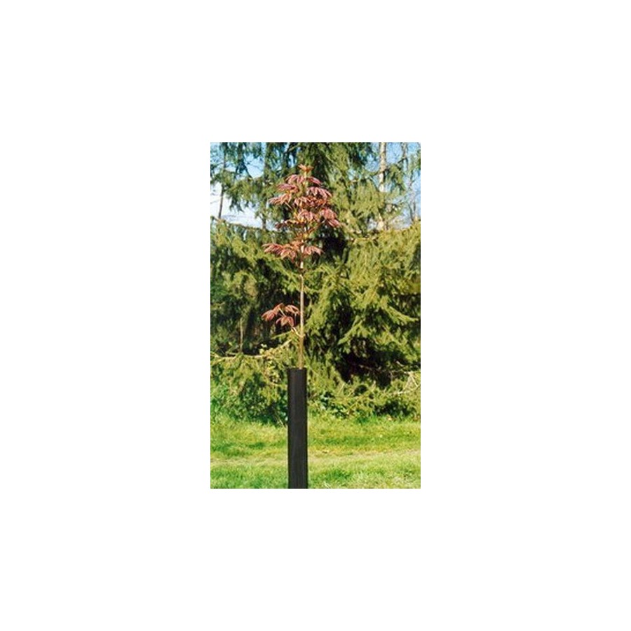 Gaine treex noir 11cm 110cm l'unité