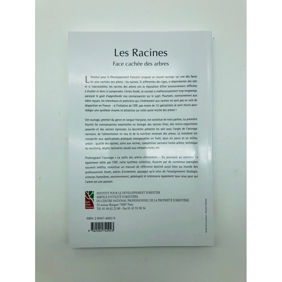 Les racines, face cachee des arbres