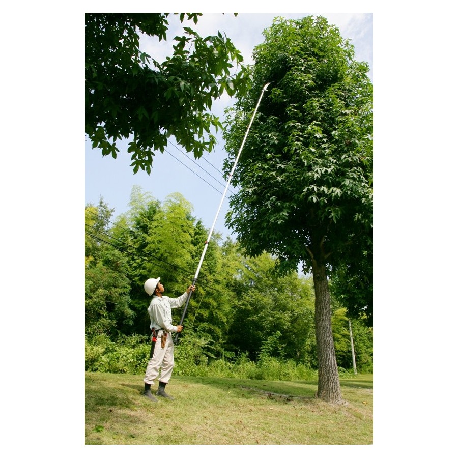 Perche silky hayauchi 4,90m + scie