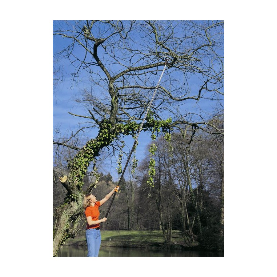Coupe branche telescopique fiskars