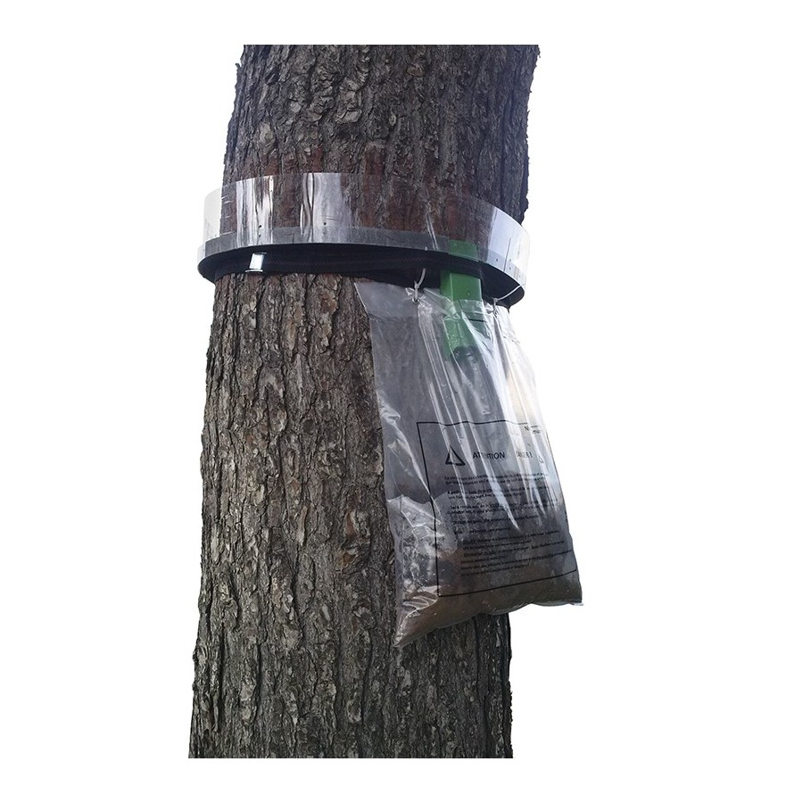 Collier anti-chenilles