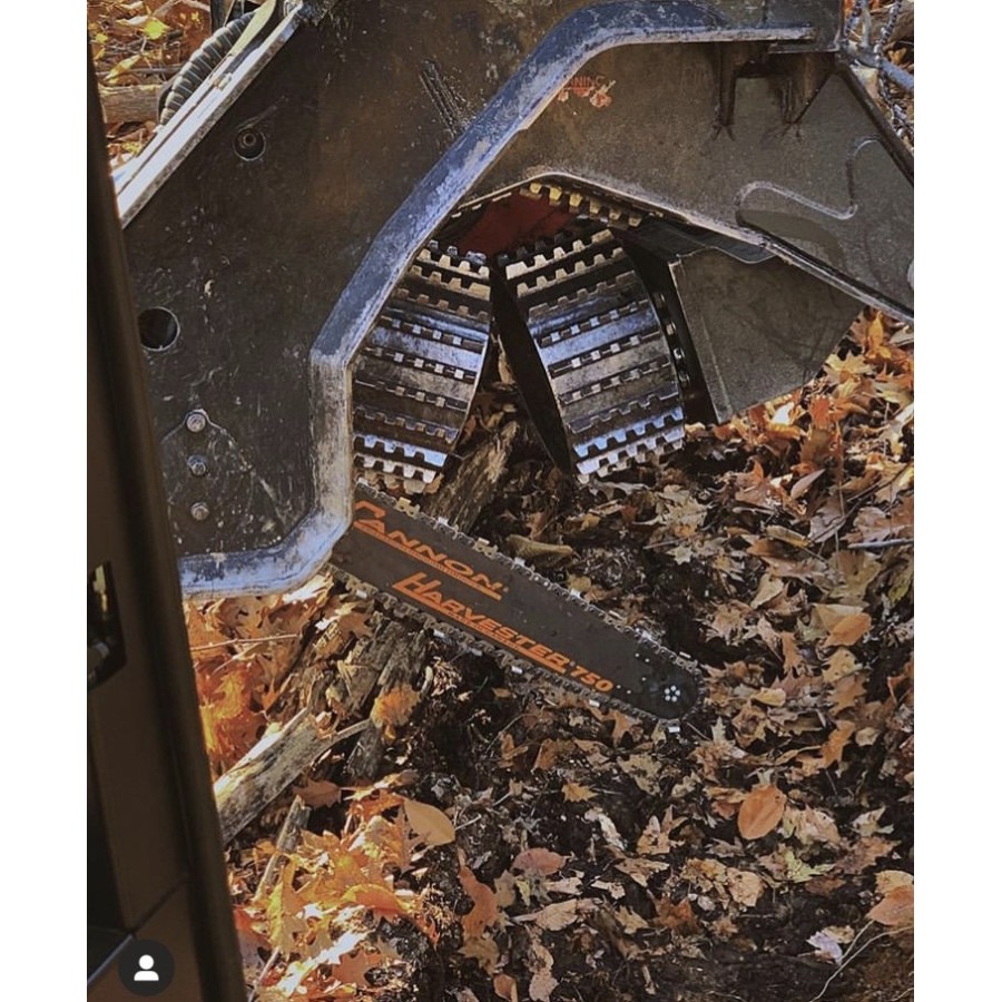 Guide chaine cannon cha-a1-31-80-4