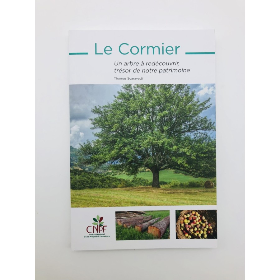 Le cormier