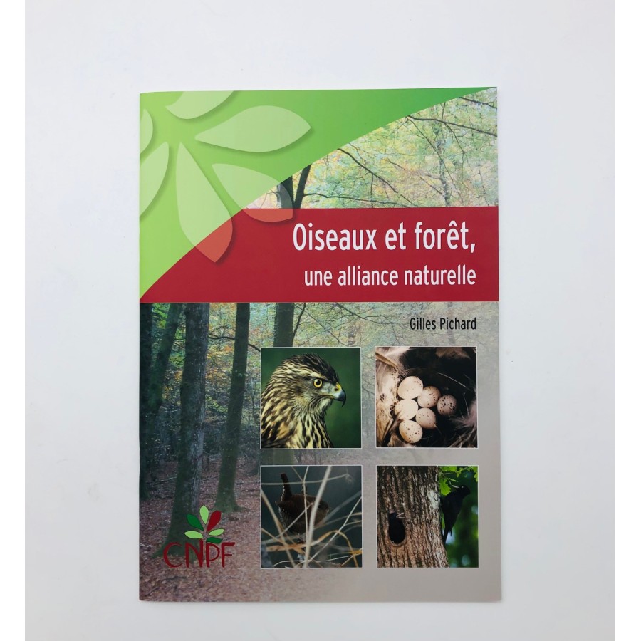 Oiseaux et forets