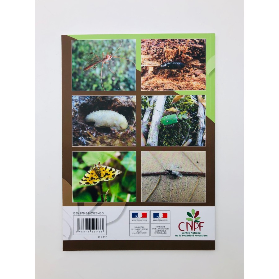 Insectes et forets