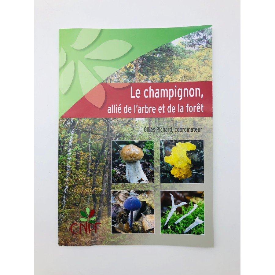 Le champignon