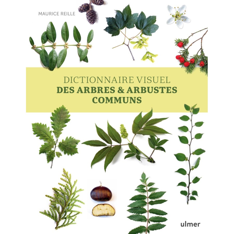 Dictionnaire visuel des arbres,,,