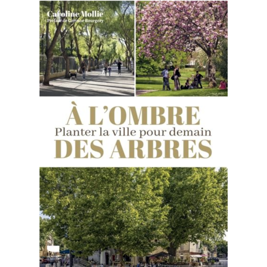 A l'ombre des arbres