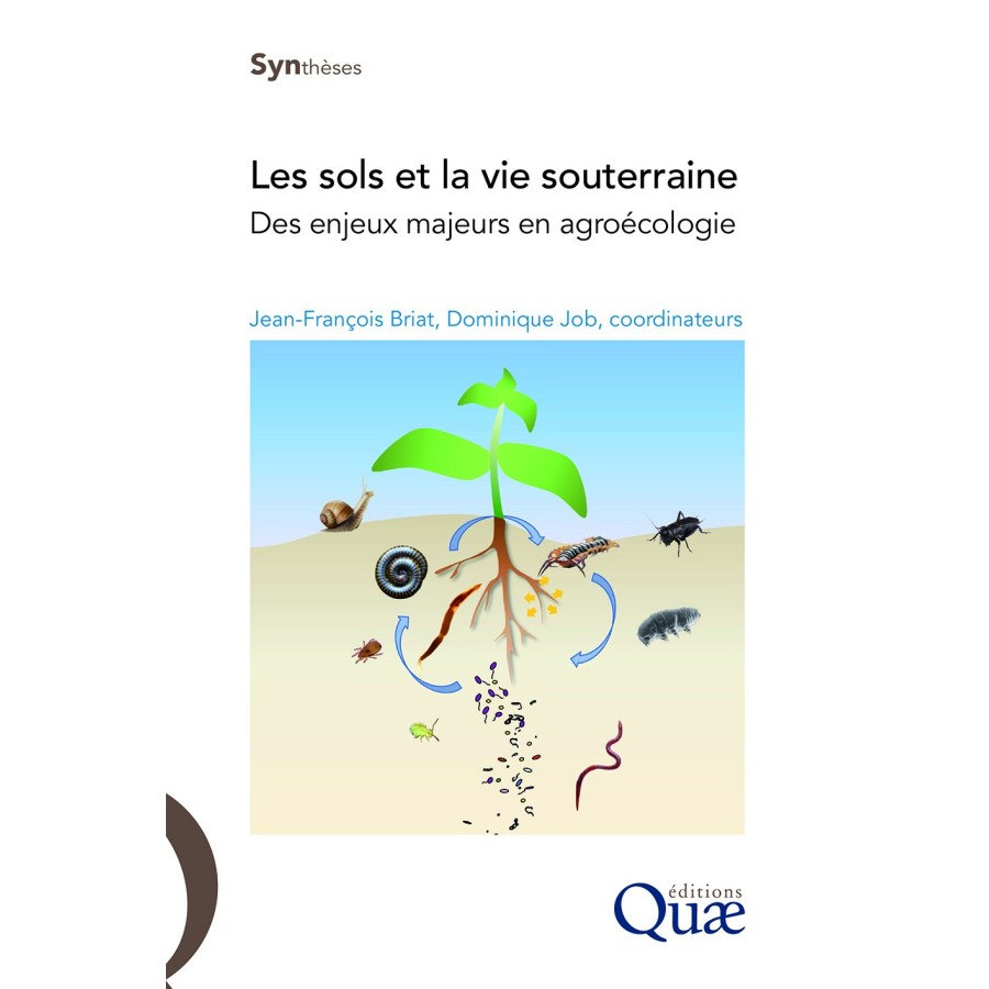 LES SOLS ET LA VIE SOUTERRAINE