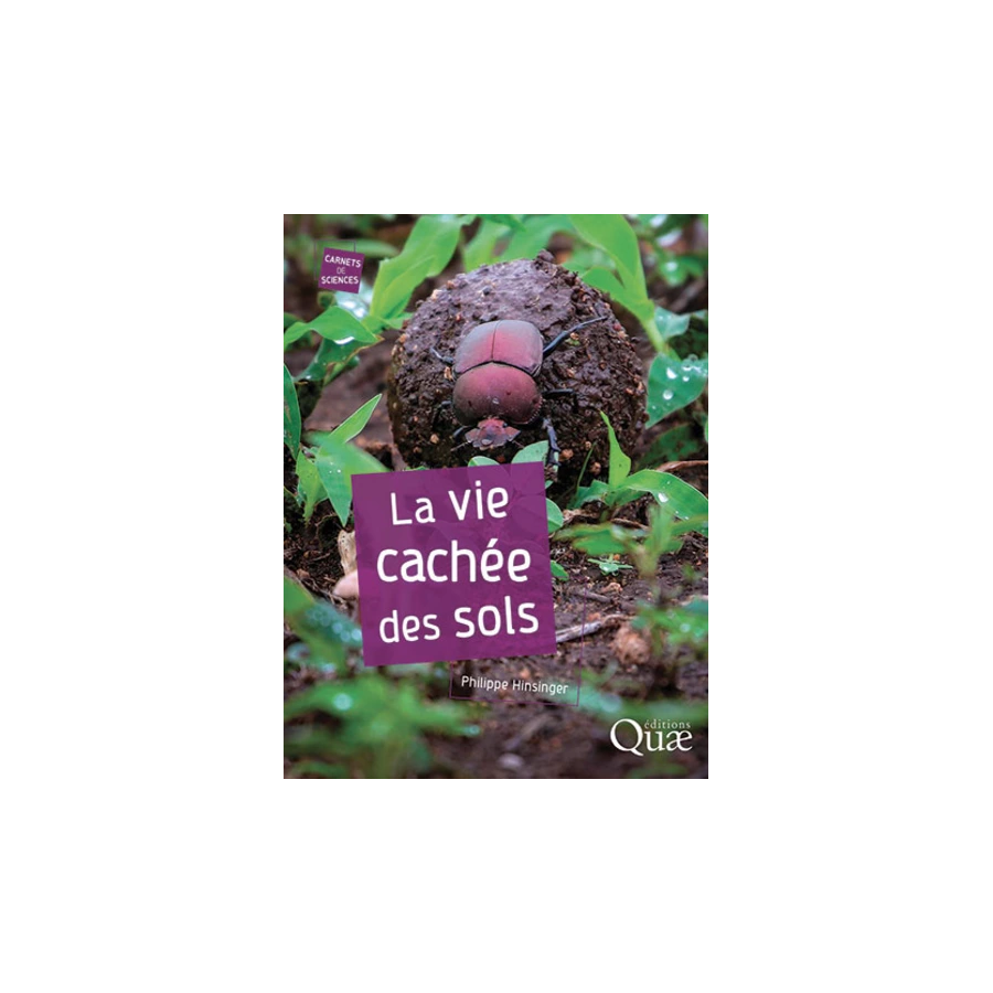 La vie cachee des sols