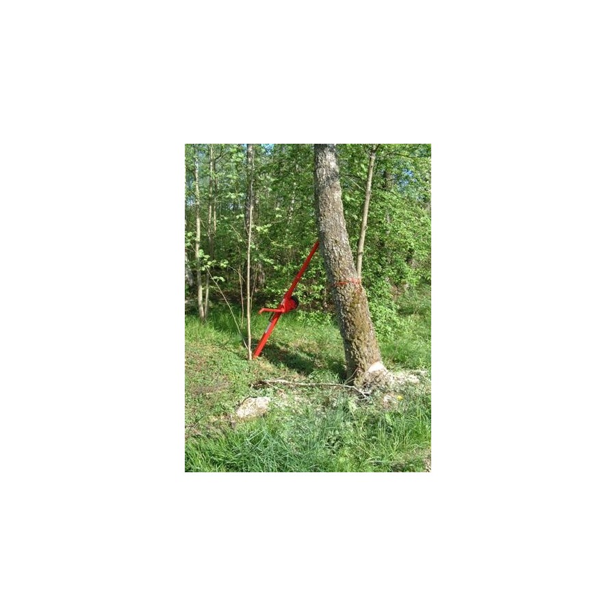 Cric forestier pusher i+