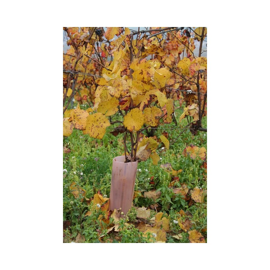 Protection winytub  45cm par 25