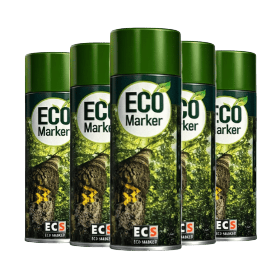 Carton de 12 ECO-Marker