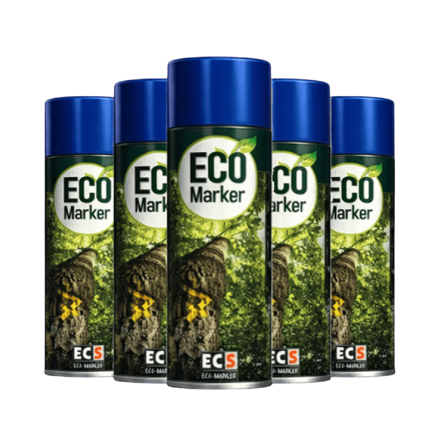 Carton de 12 ECO-Marker
