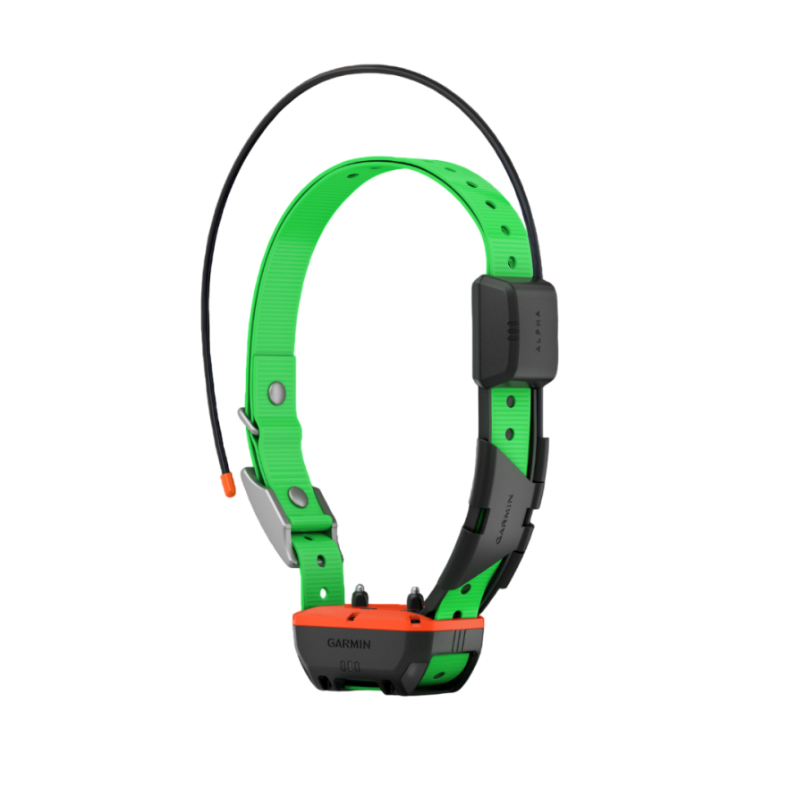 Collier de suivi et de dressage TT25