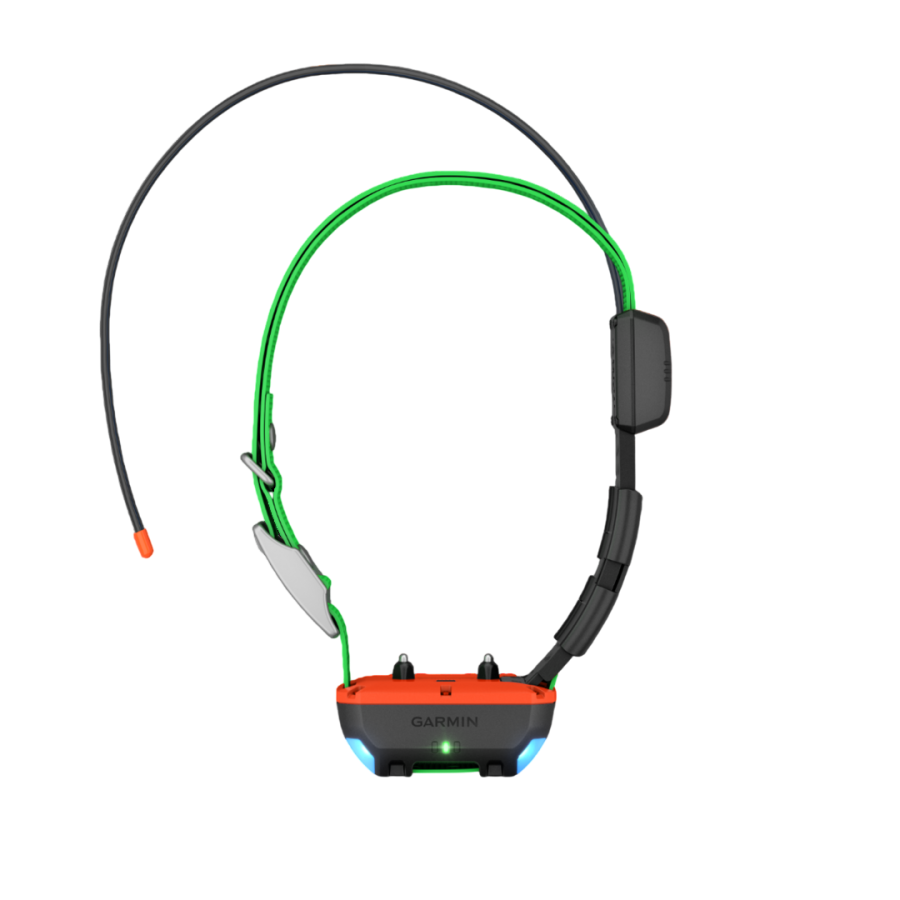 Collier de suivi et de dressage TT25