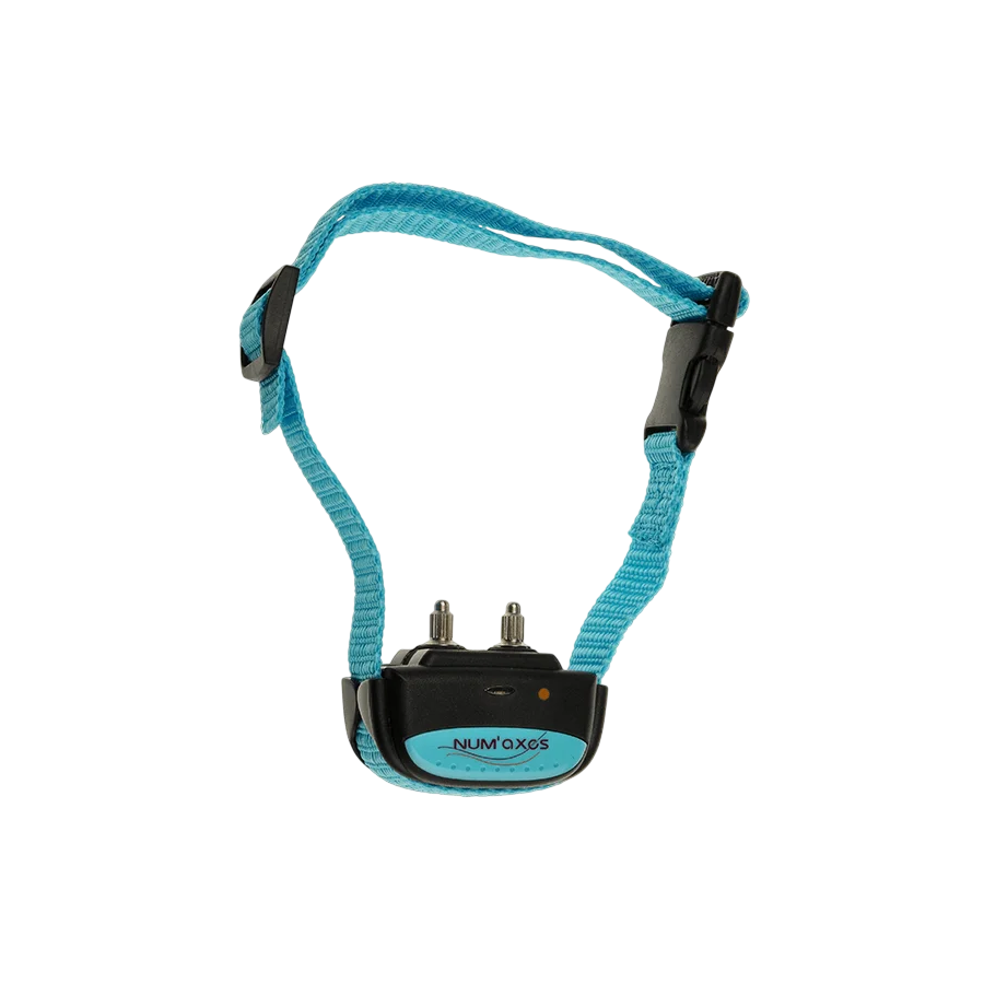 Iki pulse