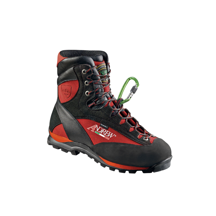 Chaussures tree climbing wood