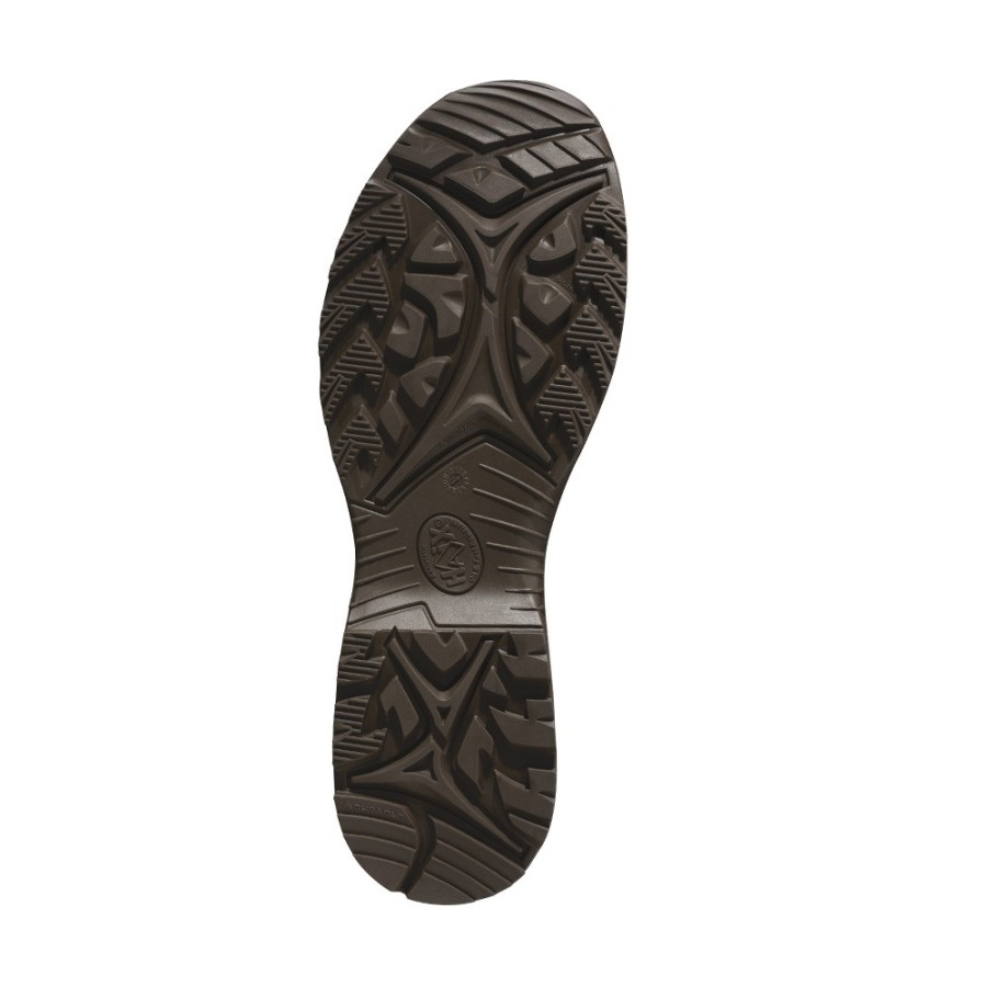Chaussures black eagle mid gtx ws