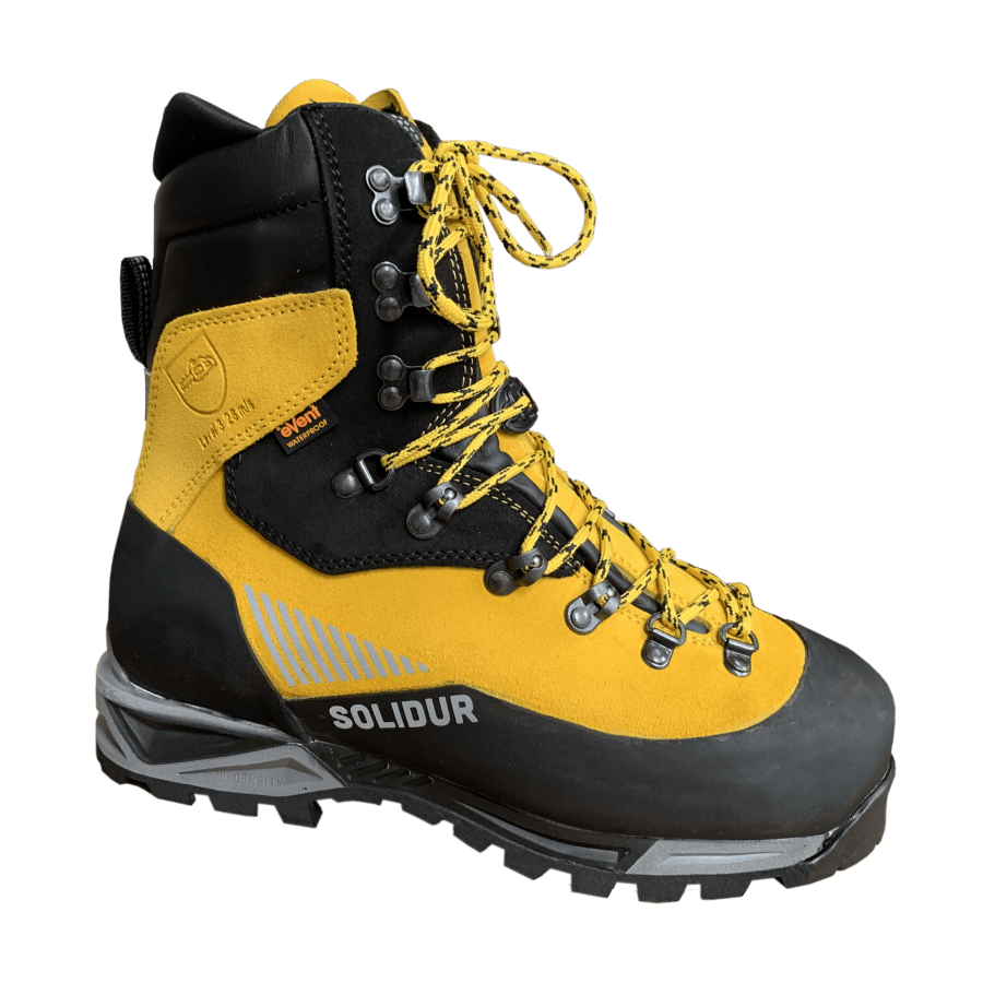 Chaussures logwood