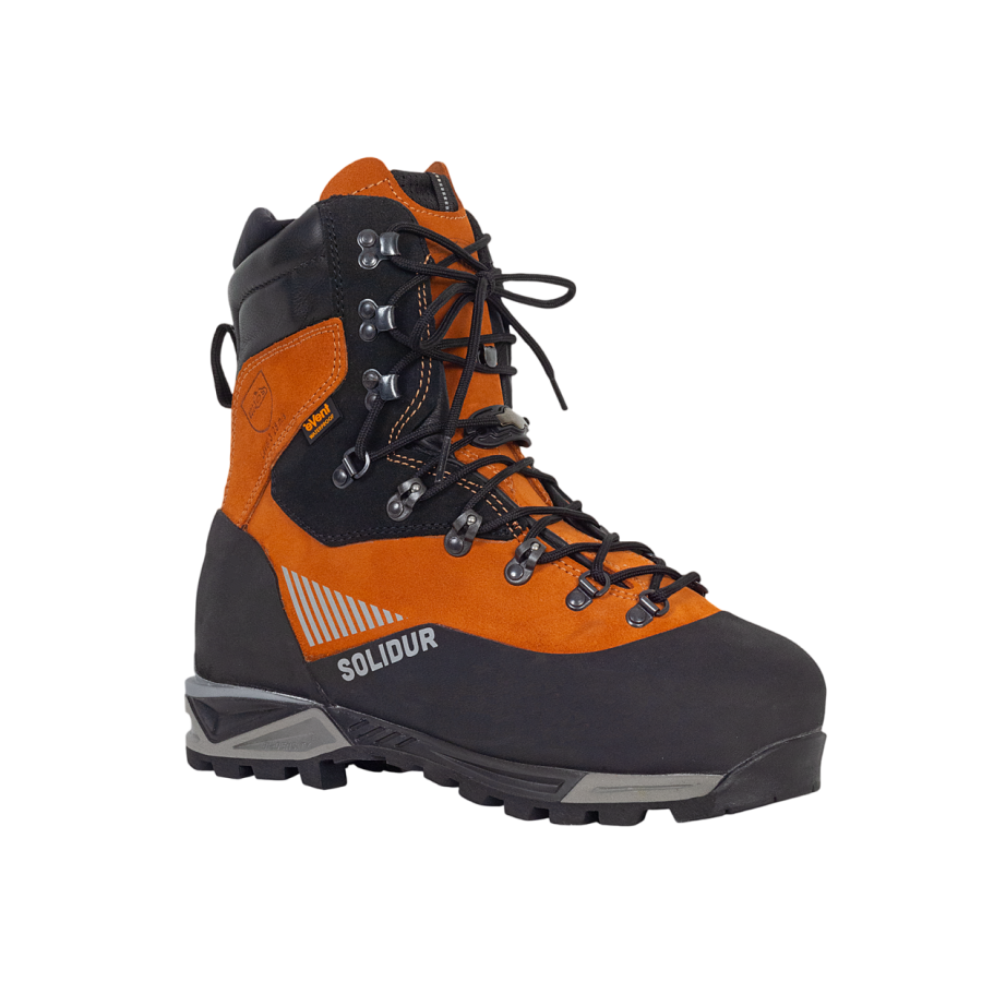 Chaussures logwood