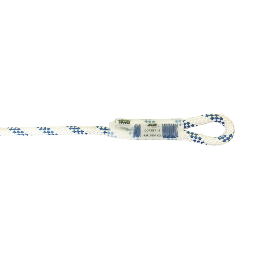 Corde cortex 16mm 40ml