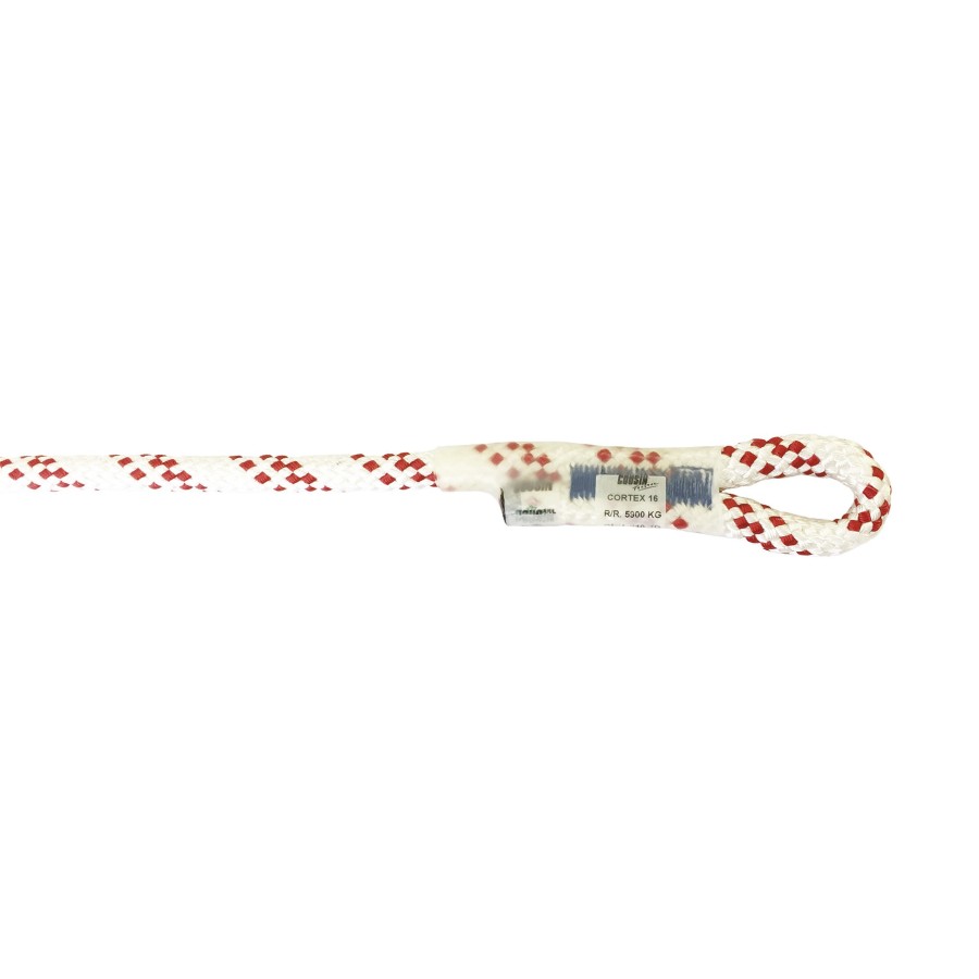 Corde cortex 16mm 40ml