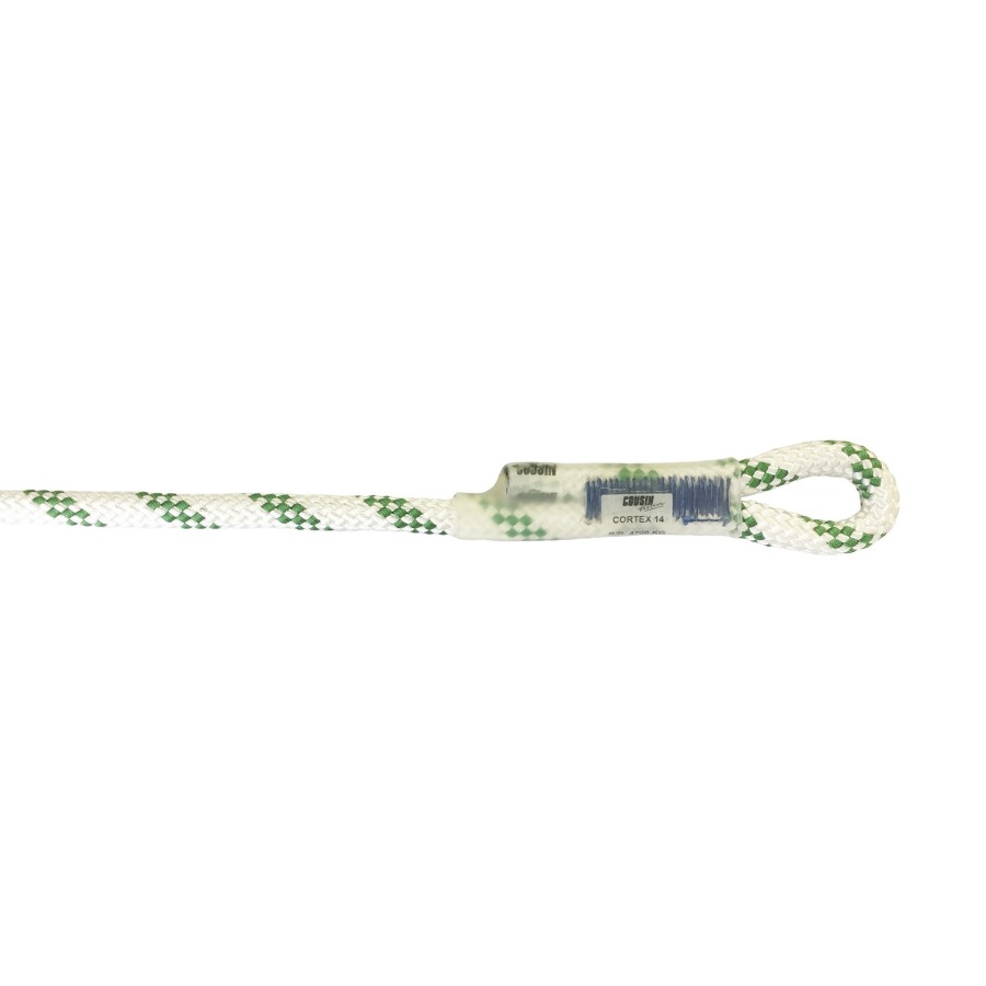 Corde cortex 16mm 40ml