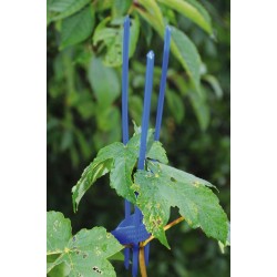 TS HOLZ - protection PLANTAGUARD PRO