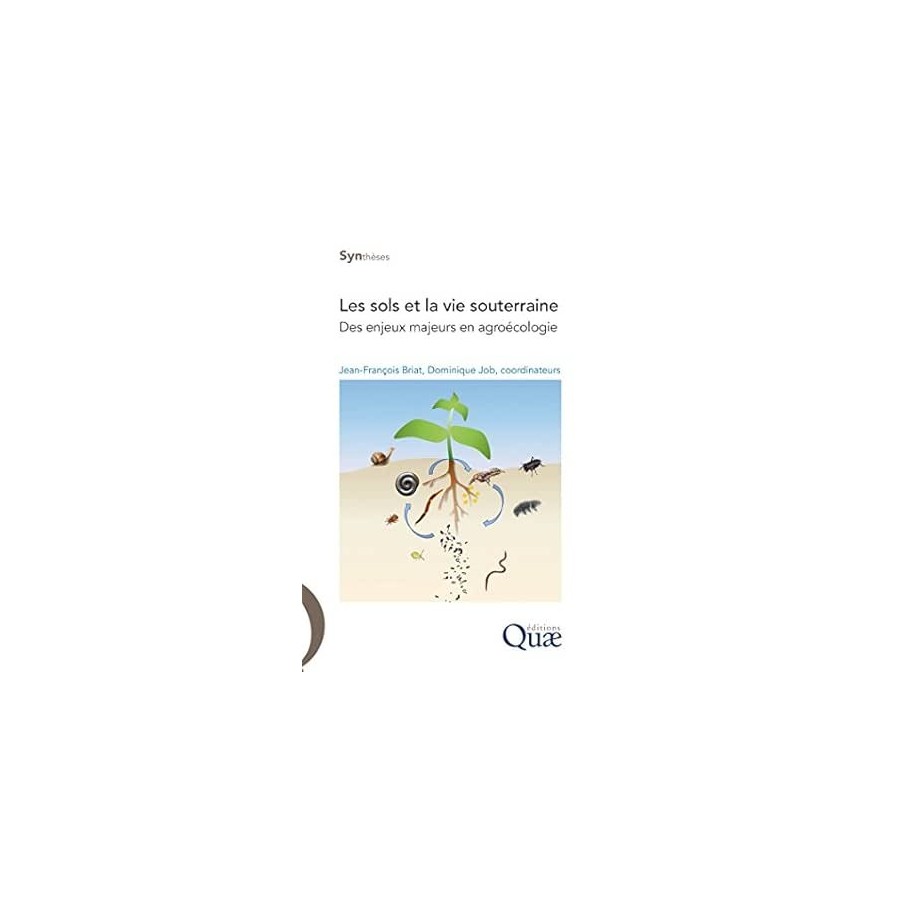 Les sols et la vie souterraine