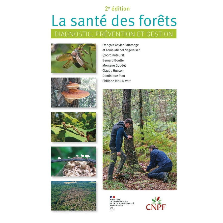 La sante des forets