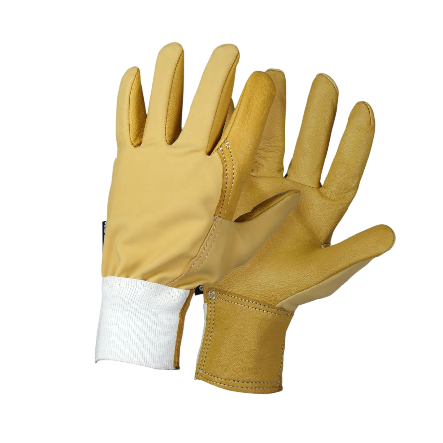 Gants driver evolution