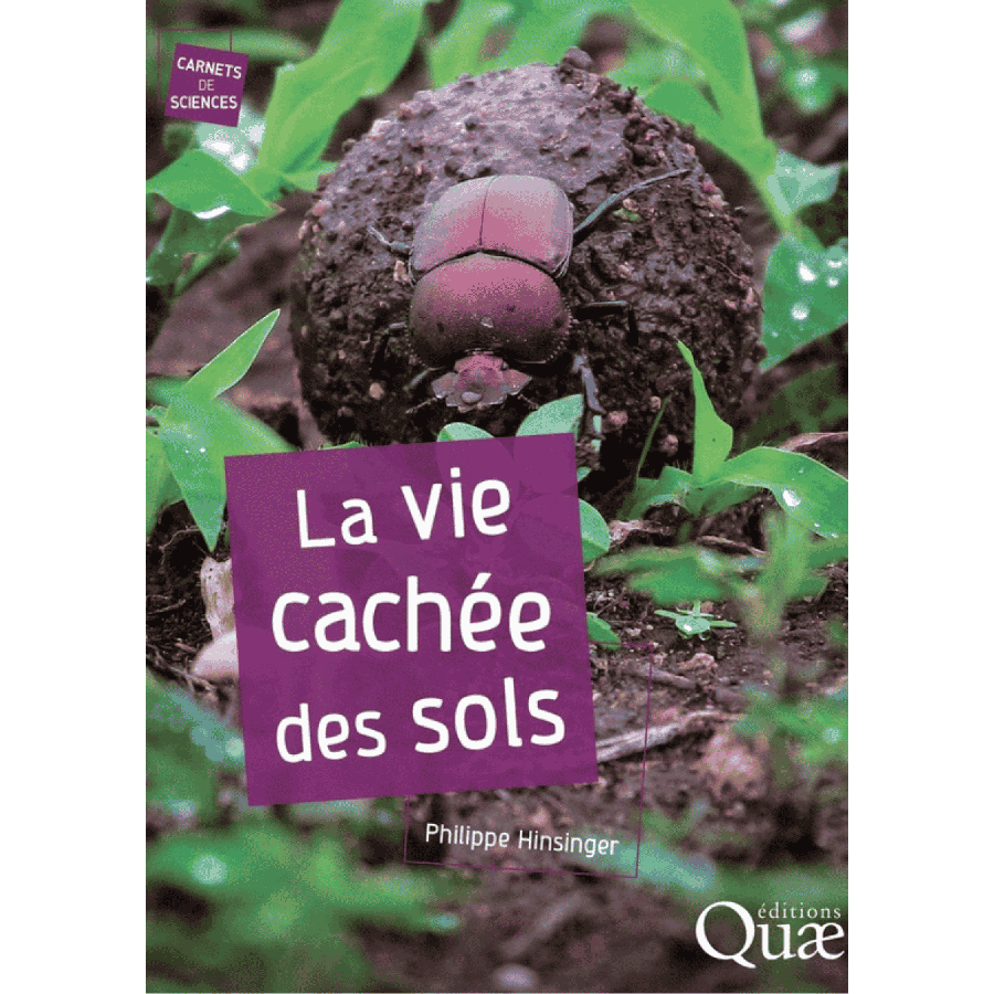 La vie cachee des sols