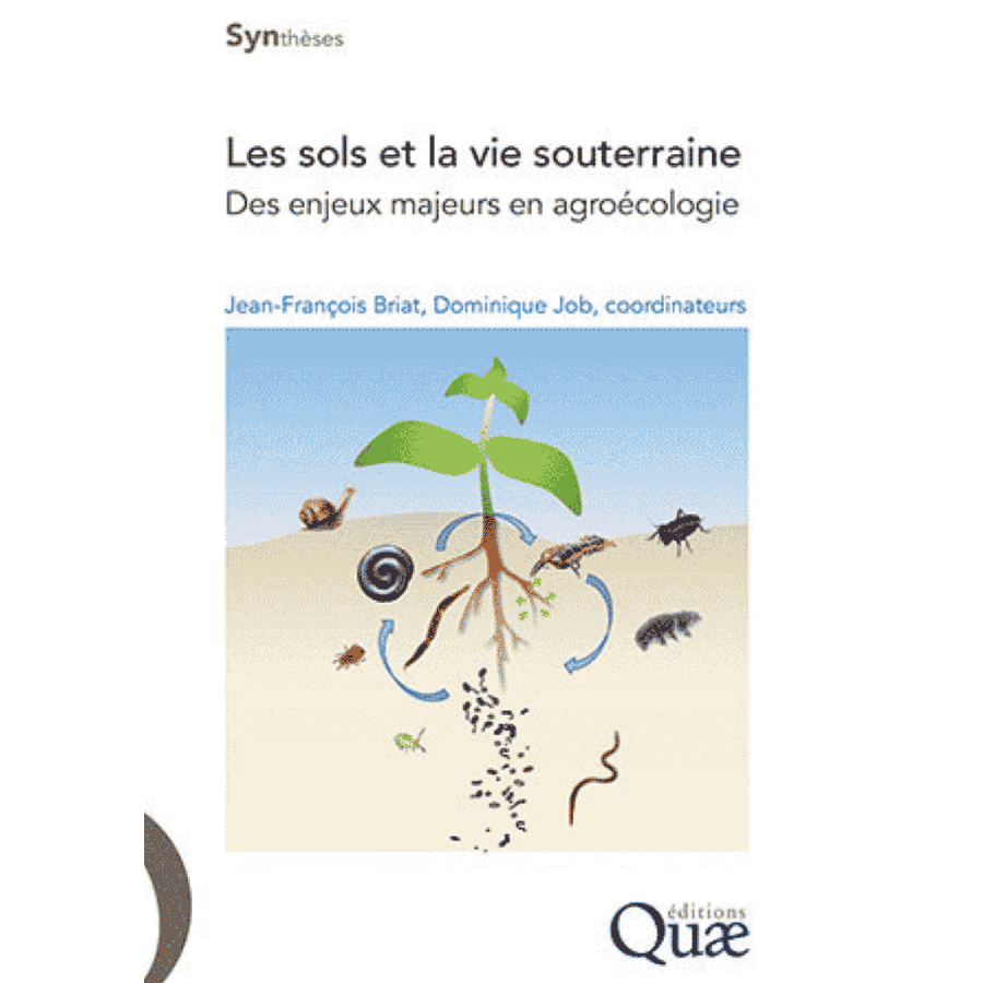 Les sols et la vie souterraine