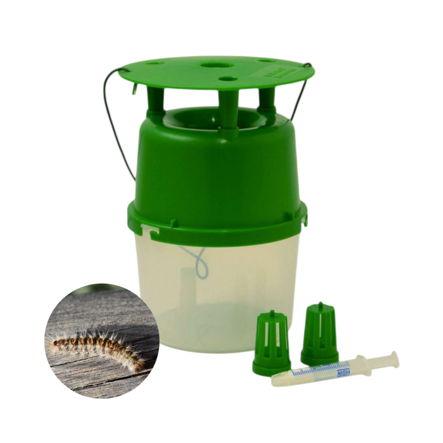Kit piege+seringue chene