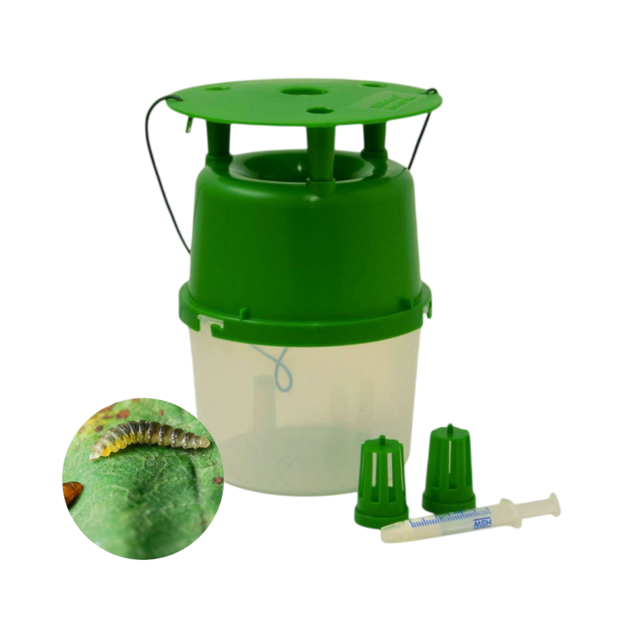 Kit piege+seringue maronnier