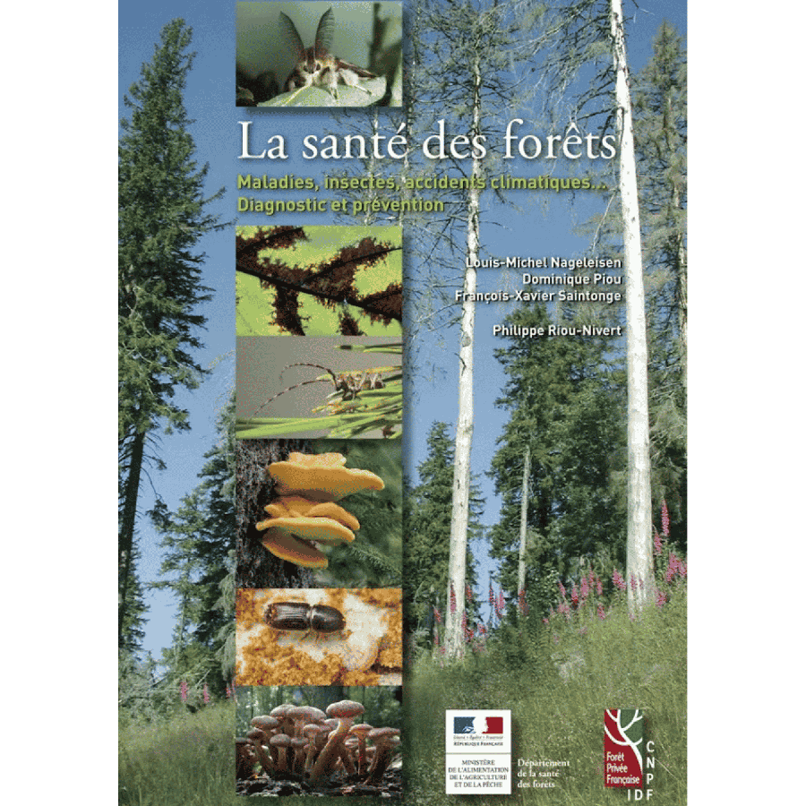 La sante des forets