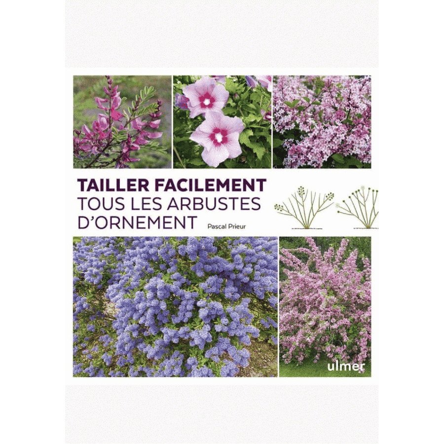 Tailler facilement tous les arbustes
