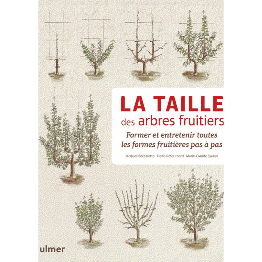 La taille des arbres fruitiers