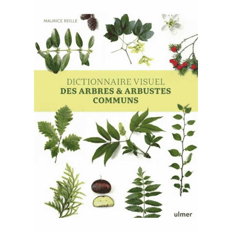 Dictionnaire visuel des arbres,,,