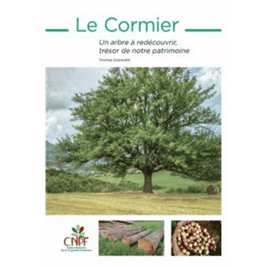 Le cormier