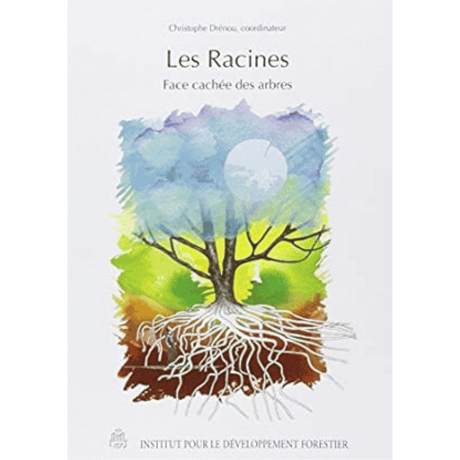 Les racines, face cachee des arbres