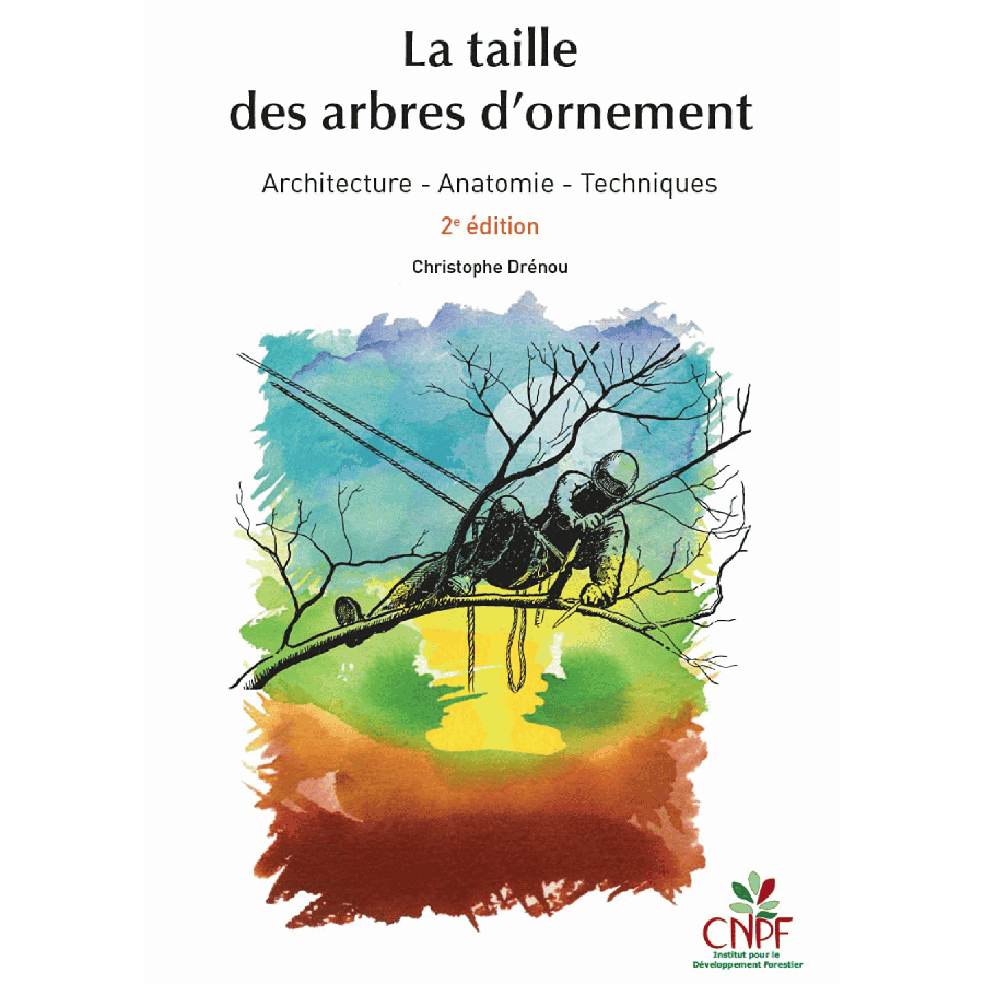La taille des arbres d'ornement t2