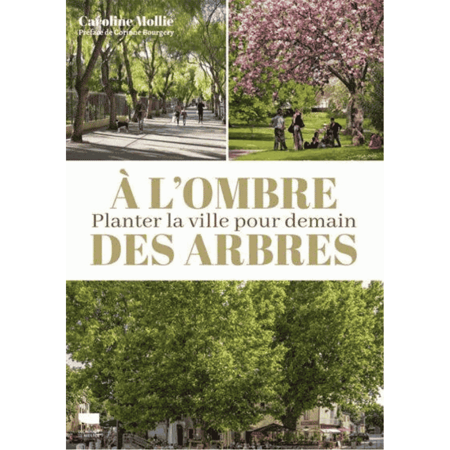 A l'ombre des arbres