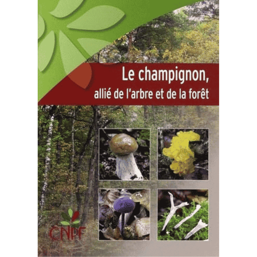 Le champignon