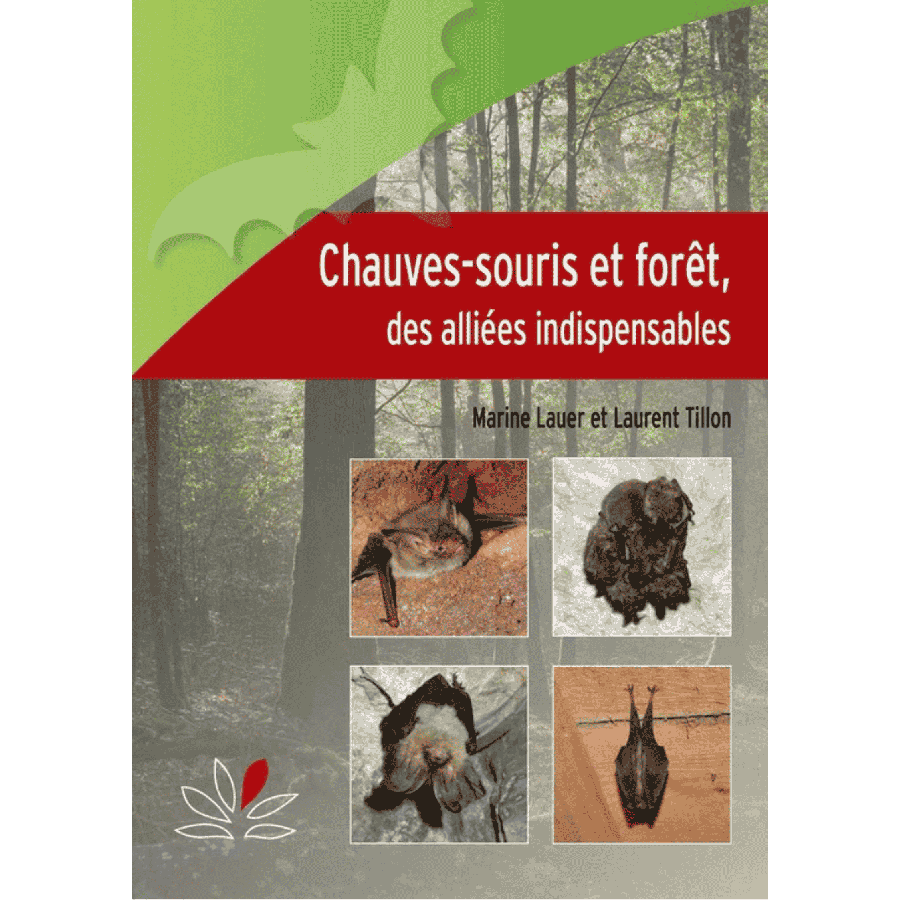 Chauve souris et foret