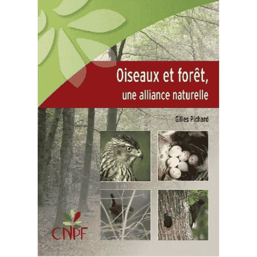 Oiseaux et forets